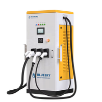 Stasiun Pengisian Daya Cepat DC Bluesky Baru Terlaris 20-120kW GB/T Dual Guns OCPP1.6J Layar 7'' IP55 TUV CE Penggunaan Komersial & Publik