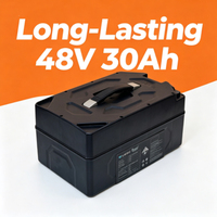 Paket Baterai LiFePO4 48V 30Ah dengan Siklus Hidup Panjang untuk Kendaraan Listrik Roda 2/Roda 3, Baterai Lithium Iron Phosphate Bebas Perawatan
