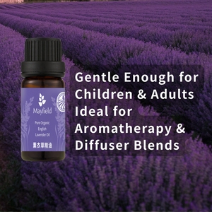 Aceite Esencial de Lavanda Natural Mayfield, Antibacteriano para Lavado Facial, Cuidado del <span class=keywords><strong>Eccema</strong></span>, Aclaramiento de la Piel, Mezclas de Aromaterapia para Dormir - Product Image 1