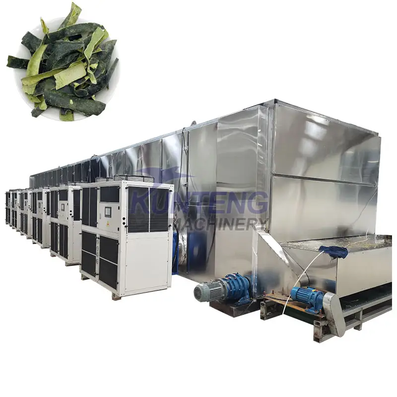 China durable continuous belt dryer for vegetable fruit or herbal wax gourd peel dehydrator lemon peel mesh belt drying machine