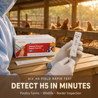 Kit de test rapide de l'antigène de la grippe aviaire AIV à haute sensibilité H5 H7 pour le bétail et la volaille, bandelette de prélèvement cloacal