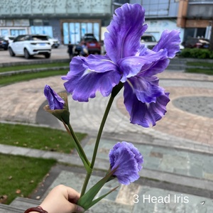 Venta al por mayor nuevo <span class=keywords><strong>IRIS</strong></span> artificial de 3 cabezas púrpura y blanco para jardín decoración de boda flores falsas para comercio exterior - Product Image 2