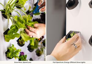 Vertikaler Garten Smart Indoor Gardening System Vertikale Landwirtschaft Hydro ponic Grow System Kit - Product Image 5