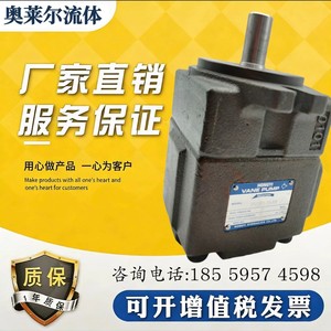 ปั๊มไฮดรอลิกแบบใบพัด HONGYI รุ่น PV2R1-19-FR 250 บาร์ ทำจากเหล็กหล่อ 1 สเตจ - Product Image 5