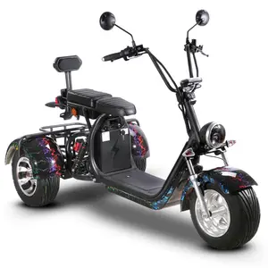 2022 China Citycoco 60v 12ah/20ah 1000w 1500w 2000w eléctrico de 3 ruedas Scooter triciclo