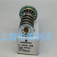 Noyau de vanne d'expansion Emerson XB-22440-B2B B3B B4B B5B B6B B7B B8B unidirectionnel pour climatisation à basse température