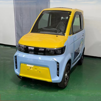 Mercado europeo Venta caliente L6E Tipo EEC COC Mini coche eléctrico para personas discapacitadas y mayores