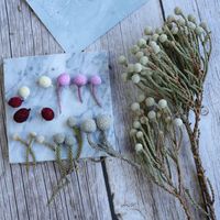 PPS05 Brunia Albiflora Conservé Corail Fruits Fleurs Offre Spéciale Vente En Gros pour Graduation De Noël Thanksgiving Décoratif