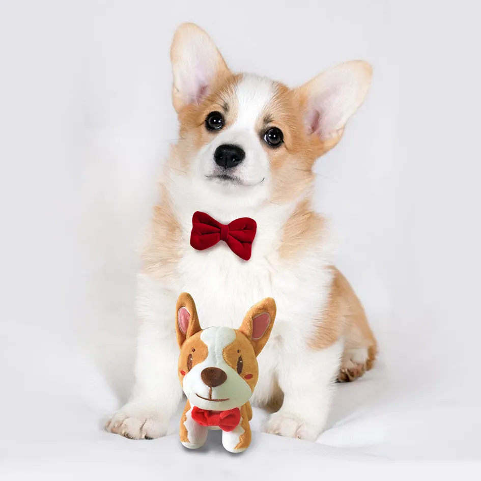 Make your pet dog into stuffed animal to accompany you Wholesale simulation corgi plush toy stuffed animal doll dog toy