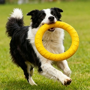 Juego de Juguetes Duraderos y Ecológicos de EVA para Perros - Anillo Masticable y Pelota de Arrastre para Masticadores Agresivos, Juguetes Interactivos Flotantes para Lanzar y Recoger - Product Image 1