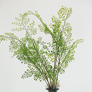 Matériau <span class=keywords><strong>en</strong></span> latex artificiel petit os noir fougère aspect réaliste plante <span class=keywords><strong>en</strong></span> <span class=keywords><strong>pot</strong></span> pour jardin intérieur balcon suspendu décor bricolage - Product Image 2