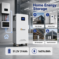 Batería de Litio LiFePO4 de 51.2V 314Ah 48V, 16kWh 15kWh 10kWh, con BMS Inteligente, WiFi y Monitoreo en la Nube, para Respaldo de Energía Solar Doméstica, en Stock en Polonia, UE