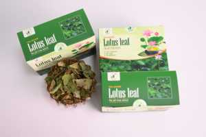 Custom Herbal <b>Tea</b> Bags Pure Vietnam Lotus Leaf Health Infusion 2g Sachet Low MOQ NMPT Factory - Product Image 5