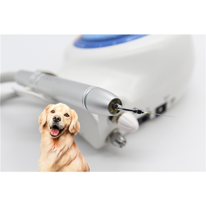 Best price mass supply Dental Piezo Ultrasonic Pet Toothwasher Scaler per cane - Product Image 5