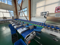 Avocado reinigings- en luchtdroogsorteermachine