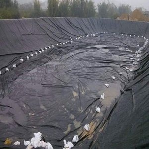 Commercio all'ingrosso della fabbrica 1mm 2mm 3mm HDPE ldpe PVC geomembrana per il sequestro di stagno di pesce lago artificiale per allevamento ittico - Product Image 5