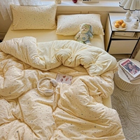 Fil double couche Super Soft Class a Grade 4pcs Set de draps doux pour la peau Suite Small Fresh Bedding Set