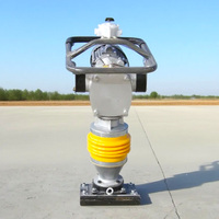 Compacteur économique d'impact de vibration de sol avec la nouvelle condition pour des industries de construction comportant un moteur de noyau