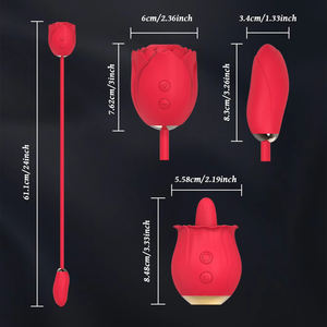 Stimolatore Clitorideo a Rosa, Ovulo Vibrante a Doppia Stimolazione, Potente Vibratore a Succhiamento per Donne, Ricarica USB, Giocattoli Sessuali per Adulti in Silicone - Product Image 6