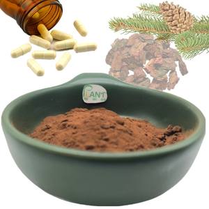 Extrait d'écorce de pin de haute qualité, naturel, 95% de proanthocyanidines, extrait d'écorce de pin maritime français 95% OPC, poudre de proanthocyanidines - Product Image 3