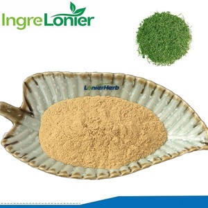 Chất lượng cao <span class=keywords><strong>Gynostemma</strong></span> 80% gypenosides Chiết xuất với số lượng lớn - Product Image 2