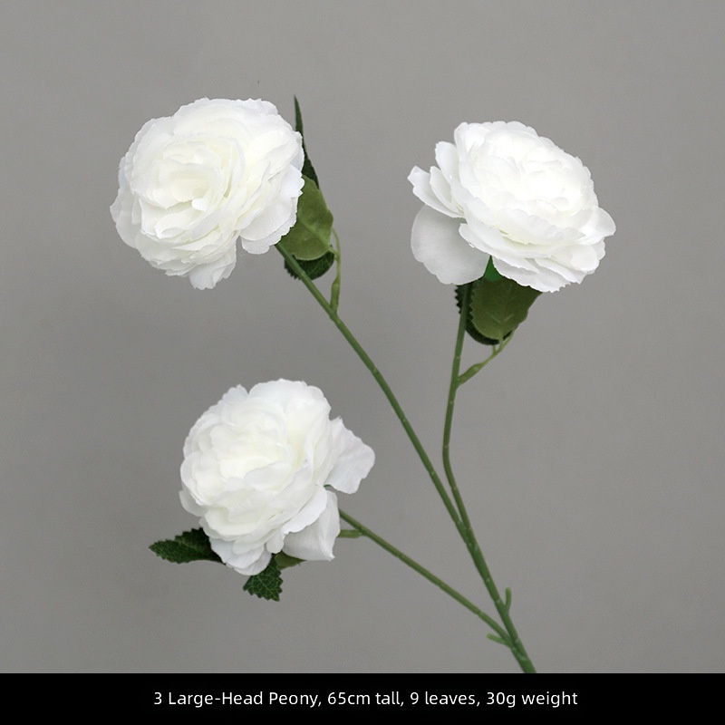 3 pivoines à grosse tête