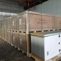 Agente de Abastecimiento 1688 en China, Paneles Solares LONGi Hi-MO 5m LR5-72HPH de Media Celda Perc de Alto Voltaje, 540W 545W 550W 555W