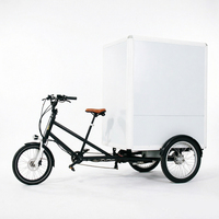 Vélo cargo électrique à 3 roues 48V 850W avec boîte de transport arrière, mini-fourgonnette, quad cargo, vélo cargo électrique – Approvisionnement direct usine