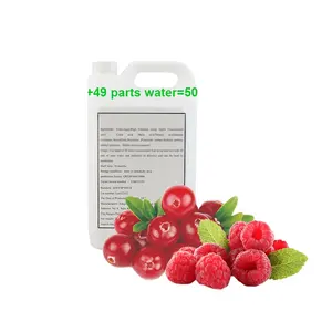 Hot Quality 50 Times Concentrate Fruit Syrup For Berries Flavor Juice Drinks Beverage Factory Production