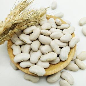 Vente chaude nouveauté gros <span class=keywords><strong>haricots</strong></span> <span class=keywords><strong>blancs</strong></span> produit agricole <span class=keywords><strong>de</strong></span> haute qualité-vente en gros <span class=keywords><strong>de</strong></span> <span class=keywords><strong>haricots</strong></span> - Product Image 4