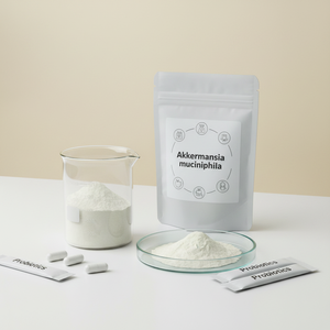 Service OEM Poudre Probiotique Inactivée Akkermansia Muciniphila AH39 100 Milliards UFC/<span class=keywords><strong>G</strong></span> Cliniquement Prouvé pour la Gestion du Poids - Product Image 1