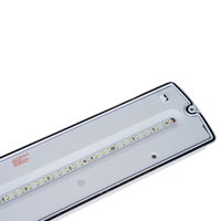 LED-Schott-Not leuchten Großhandel Kunden spezifische LED-Schott-Not leuchten Garage CE IP65 LED-Schott-Not leuchten