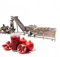 Ligne de production commerciale de remplissage, de bouchage et de scellage de jus pour l'emballage de boissons en bouteilles PET avec une production à haute vitesse