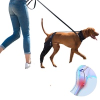 Quantité minimale de commande bas de jambe arrière réglable pour chien vente à chaud vente en gros de genouillère/attelle de soutien en métal pour chien