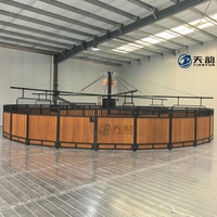 Mesin Walker Kuda Profesional Outdoor Bermotor Ganda dengan Atap Berkualitas Tinggi dan Ekonomis