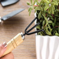 Set Alat Berkebun Tiga Bagian Sekop Kecil Kayu Sekop Mini untuk Tanaman Pot Alat Penggembur Tanah Pot Bunga Dalam Ruangan