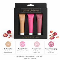 Bálsamo Labial Humectante Personalizado con Cera de Abeja, Certificado ISO22716, Etiqueta Privada, Tubo Exprimible de 15g, Paquete de 3 Bálsamos Labiales, Venta al Por Mayor, Regalo