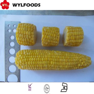 เมล็ดข้าวโพดหวานแช่แข็ง - Product Image 3