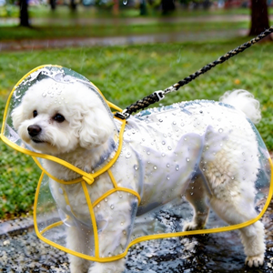 Impermeable Transparente para Perros de EVA con Orificio para Arnés, Chaqueta Impermeable para Cachorros con Protección Completa para el Abdomen, para Perros Pequeños y Medianos, para Paseos al Aire Libre - Product Image 1
