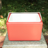 Glacière rotomoulée 15L pour poisson, boîte à glace OEM en PE, PU, PP, glacière isotherme en plastique
