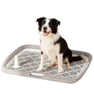 Plateau de toilette plat spacieux pour chien d'intérieur 63x48cm, grille d'apprentissage de la propreté pour chiot, support pour tapis absorbant pour animaux de compagnie, stock Pologne, Dropshipping UE - Product Image 1