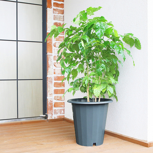 Maceta Redonda Grande de Plástico de 12L, Color Gris Oscuro, Ligera, para Plantas de Interior y Exterior, Hogar, Balcón, Patio - Product Image 5