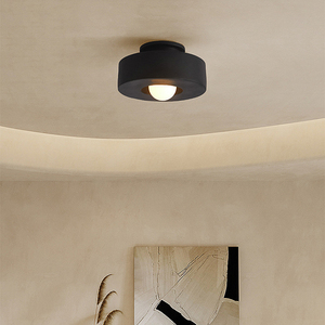 Lampada da Soffitto LED in Resina Lampadario Artistico <span class=keywords><strong>per</strong></span> Interni Adatto <span class=keywords><strong>per</strong></span> Illuminazione Decorativa di Ingressi Corridoi e Passaggi - Product Image 3