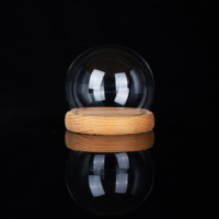 Cloche en verre soufflé transparent en borosilicate, anti-poussière, ovale, avec base en bois, pour terrarium, vente en gros