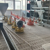 Nouveau système d'alimentation entièrement automatique BANGYUAN pour élevage au sol de poulets de chair et reproducteurs en ferme avicole