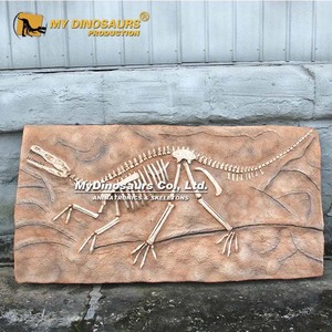 My Dino DS-124 Plaque d'exposition <span class=keywords><strong>de</strong></span> fossile <span class=keywords><strong>de</strong></span> dinosaure <span class=keywords><strong>Velociraptor</strong></span> pour musée - Product Image 2