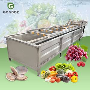 Machine de lavage automatique industrielle pour fruits (pommes, fraises) et légumes, et ligne de production à vendre - Product Image 1