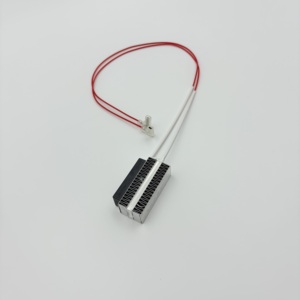 Tùy chỉnh <span class=keywords><strong>PTC</strong></span> nóng 220VAC 50 Wát nhôm <span class=keywords><strong>PTC</strong></span> nóng thiết kế an toàn đáng tin cậy điện không khí nóng điện cách nhiệt gốm nóng - Product Image 2