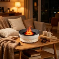 Brasero électrique infrarouge sans fumée 1600W, chauffage multifonctionnel, cuisinière pour vin chaud, cuisson des guimauves, préparation du thé, OEM
