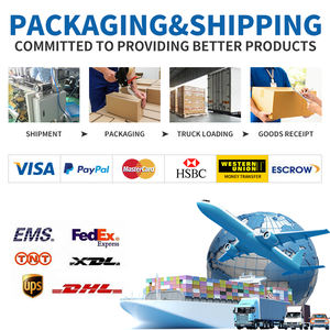 Anillo de sello Original ZNK 11021M2110051 para cubierta de lente protectora láser vidrio BM110 BM111 BT240 BT220 - Product Image 6